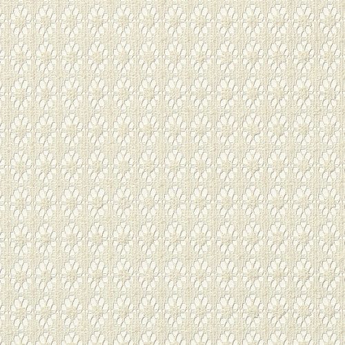 Cord lace（コードレース）