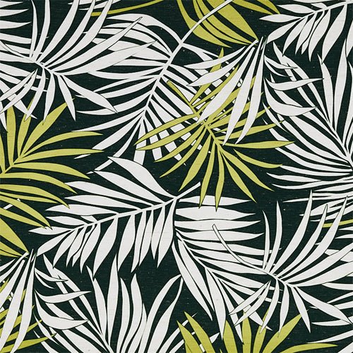 Palm（パルム）