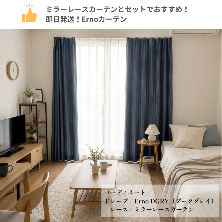 説明:Ernoとの相性抜群！即日発送